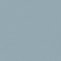Stoneblue